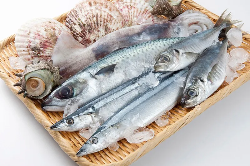 季節の魚介類を全国のお客様へ提供